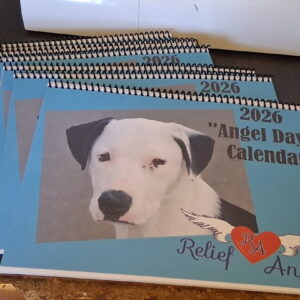 2026 Angel Days Calendar