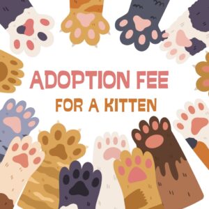 Adoption Fee for Intact Kitten