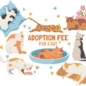 Adoption Fee for an Altered Cat